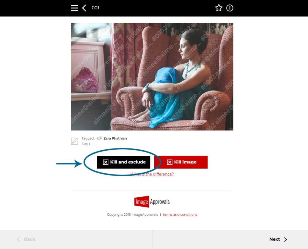 A screenshot of the Image Approvals app showing how to kill and exclude actors in images.