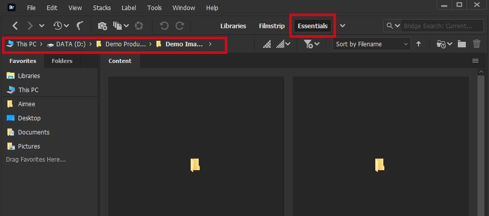 Screen shot identifying where to find the file address bar and Essentials workspace layout in Adobe Bridge